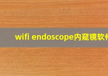 wifi endoscope内窥镜软件